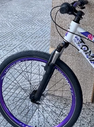 Bici Blanca